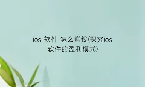 “ios软件怎么赚钱(探究ios软件的盈利模式)